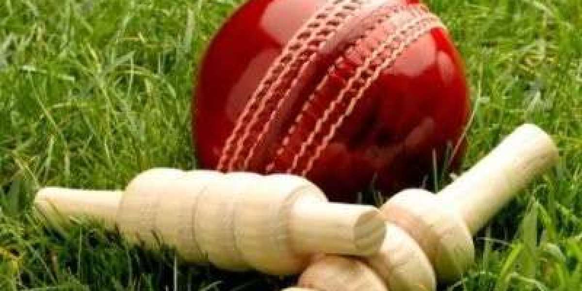 Mastering Cricket Betting: Your Ultimate Guide to Success on Indibet