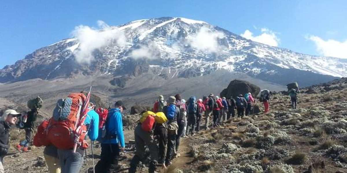 10 Things to Consider While Choosing The Best Time to Climb Kilimanjaro