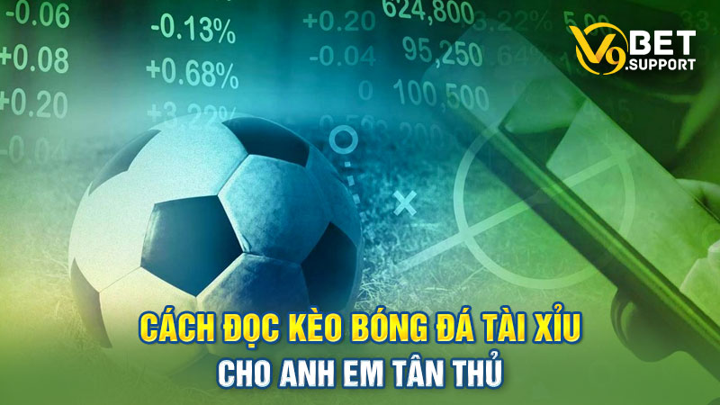 Hướng Dẫn Cách Đọc Kèo Bóng Đá Tài Xỉu Cho Tân Thủ