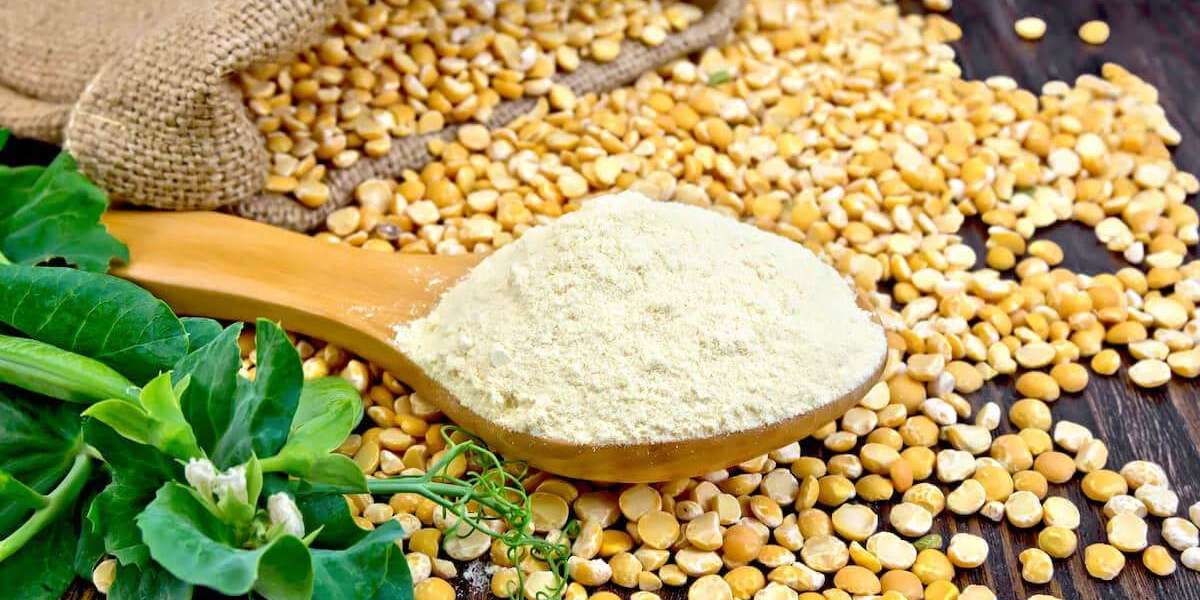 Pea Protein Powder Manufacturing Plant 2024: Detailed Project Report, Raw Materials Requirement, Cost and Revenue