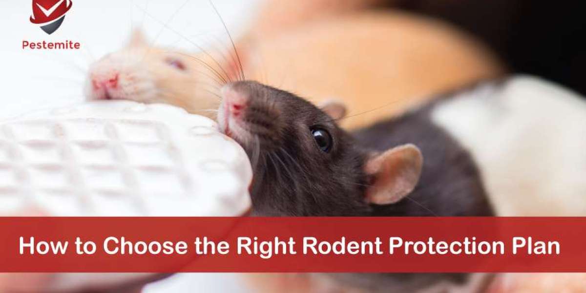 How to Choose the Right Rodent Protection Plan