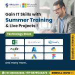 brillica services Profile Picture