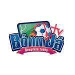 bongdaanhorg Profile Picture