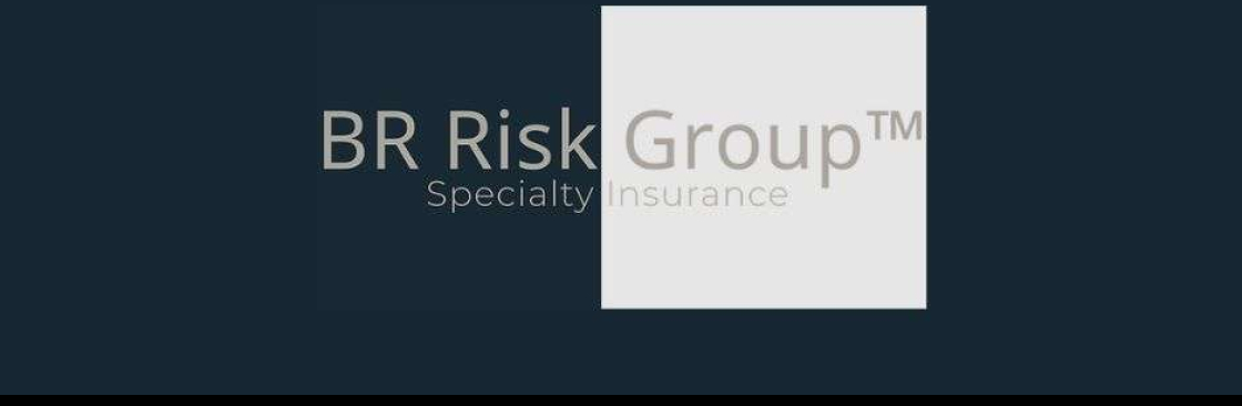 BR Risk Group Specialty Insurance Cover Image