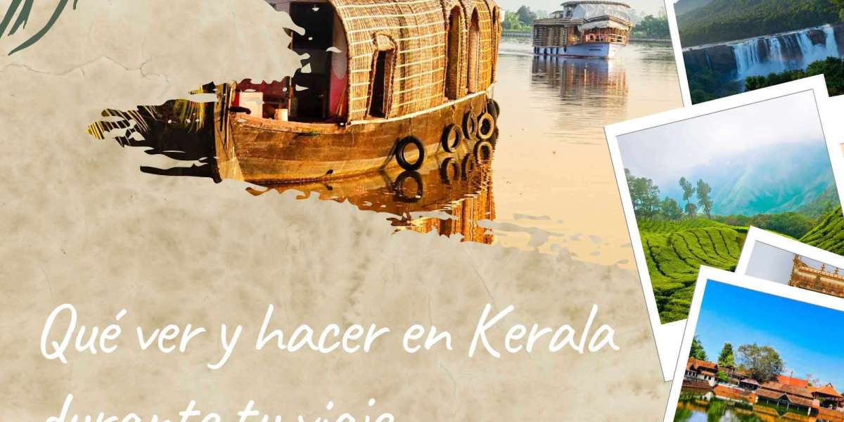 Qué ver y hacer en Kerala durante tu viaje