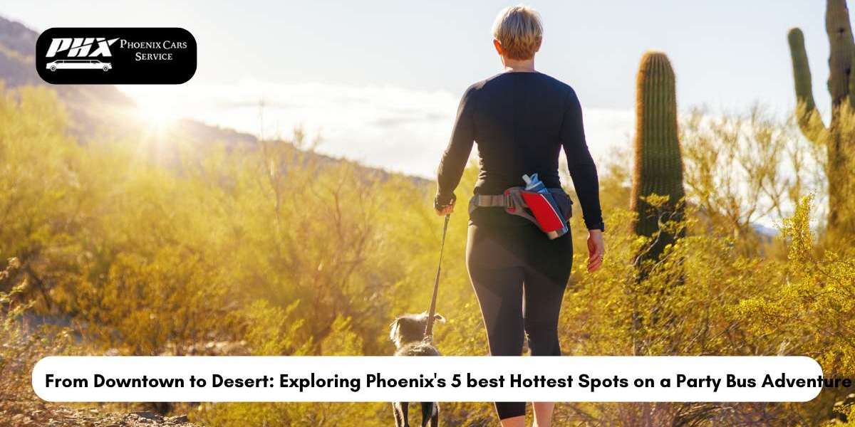 From Downtown to Desert: Exploring Phoenix's 5 best Hottest Spots on a Party Bus Adventure