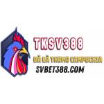 SV388 Profile Picture