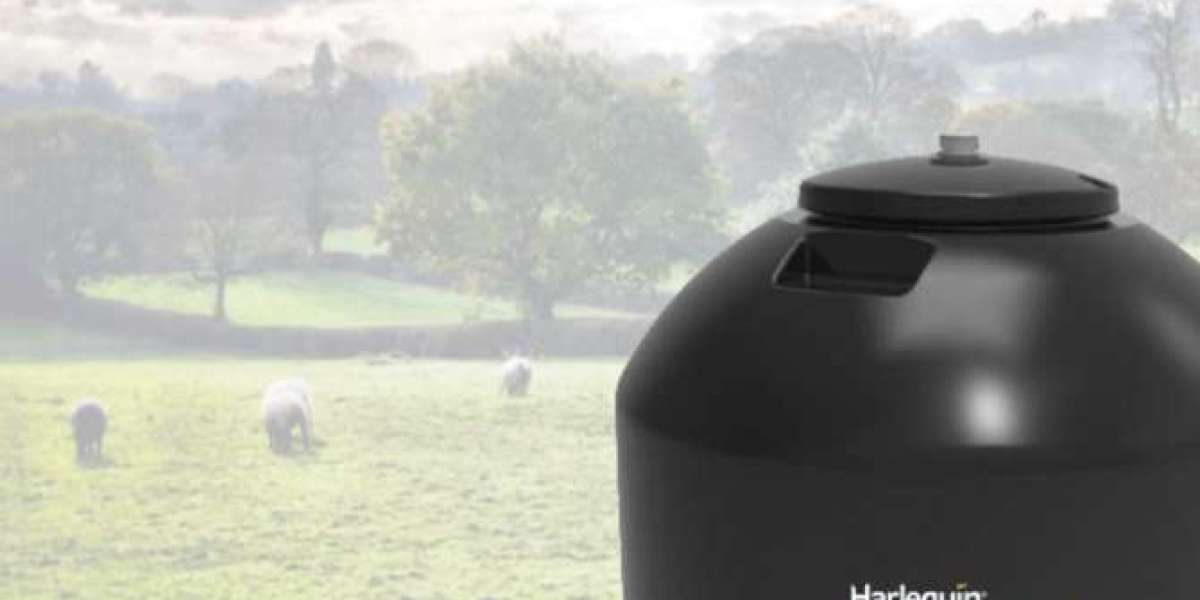 Embracing Sustainability: Rainwater Harvesting Systems in Ireland