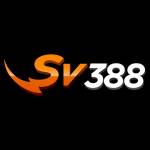 sv388h com Profile Picture