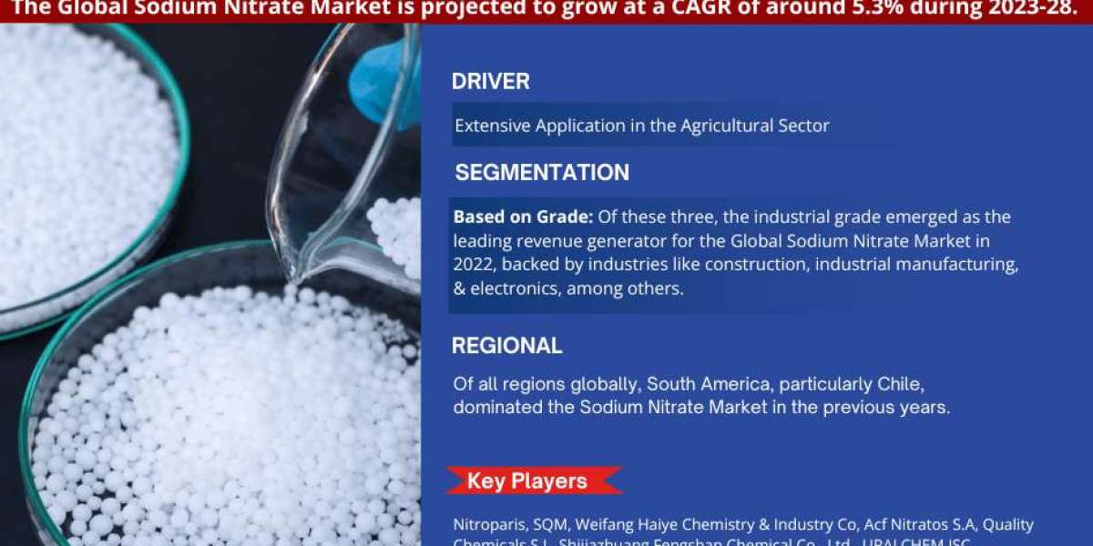 Sodium Nitrate Market Size is Surpassing 5.3% CAGR Growth by 2028 | MarkNtel Advisors