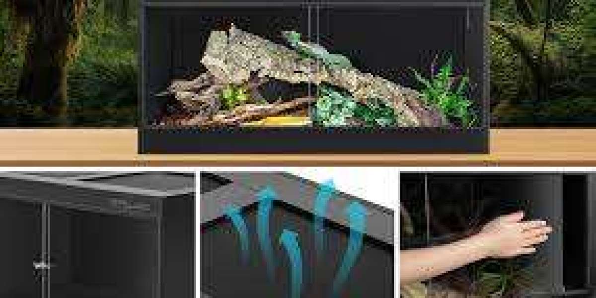 Enhance Your Uromastyx Care with a PVC Reptile Enclosure