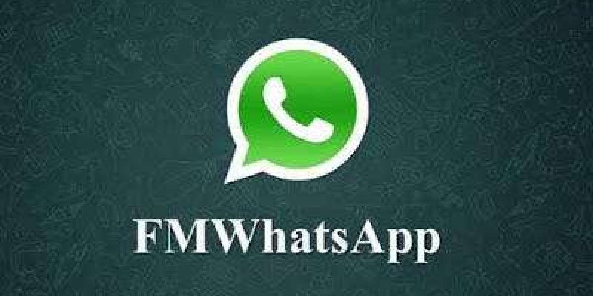 Exploring the FM WhatsApp Update: What's New and What it Means for Users