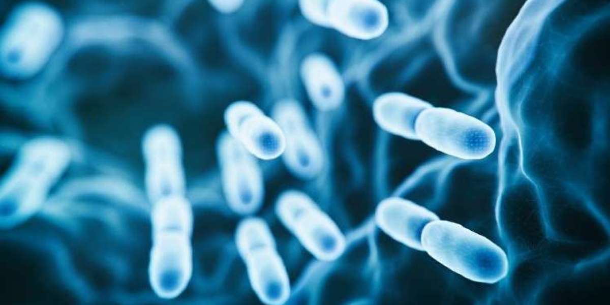 United States Probiotics Market 2024-2032: Industry Growth, Share, Size, Key Players Analysis and Forecast