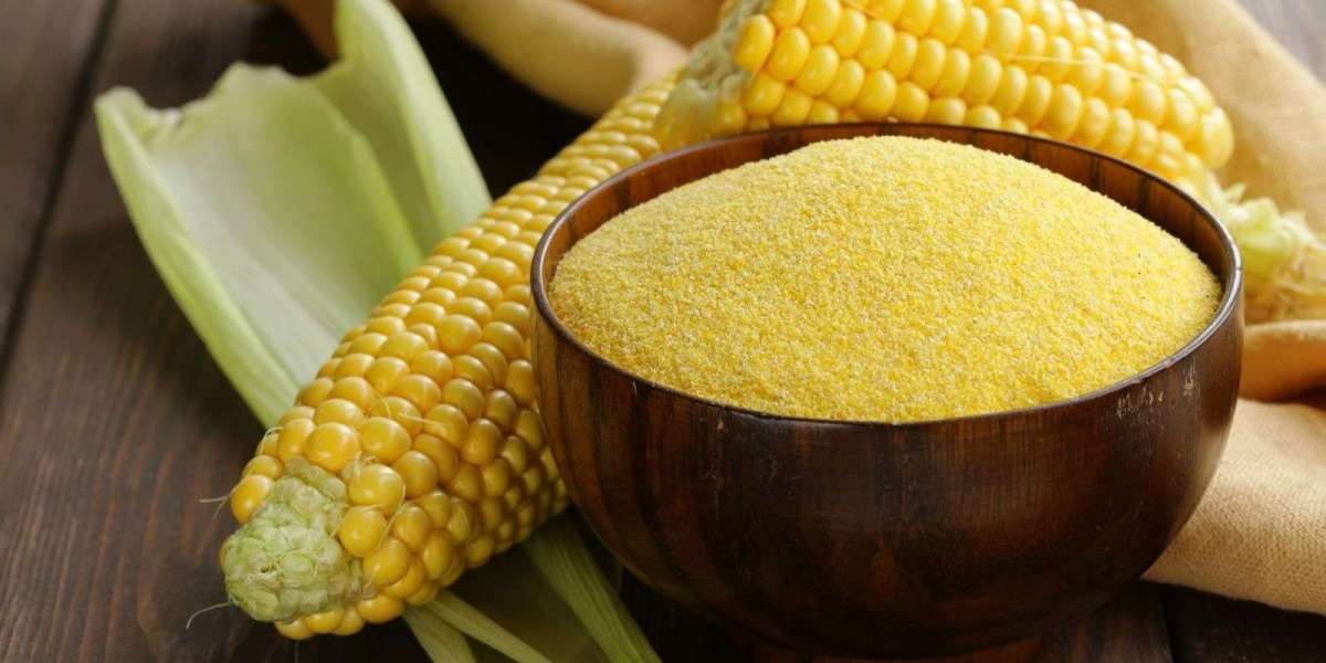 Maize Processing Plant Report:  Unit Setup, Cost Analysis and Infrastructure Necessities