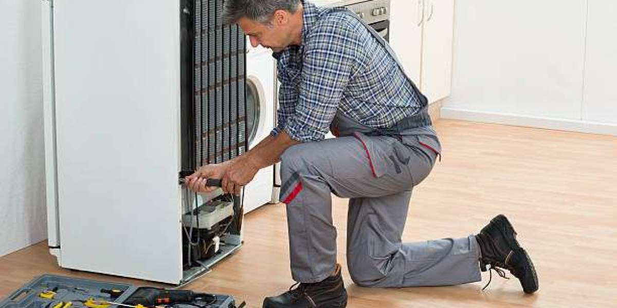 Mastering Maintenance: Ensuring the Longevity of Your Sub-Zero Refrigerator
