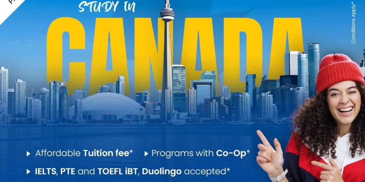 Canada education consultants in Hyderabad