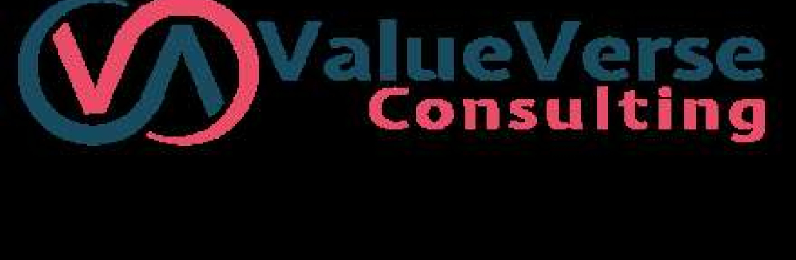 ValueVerse ERP Consulting Pvt Ltd Cover Image