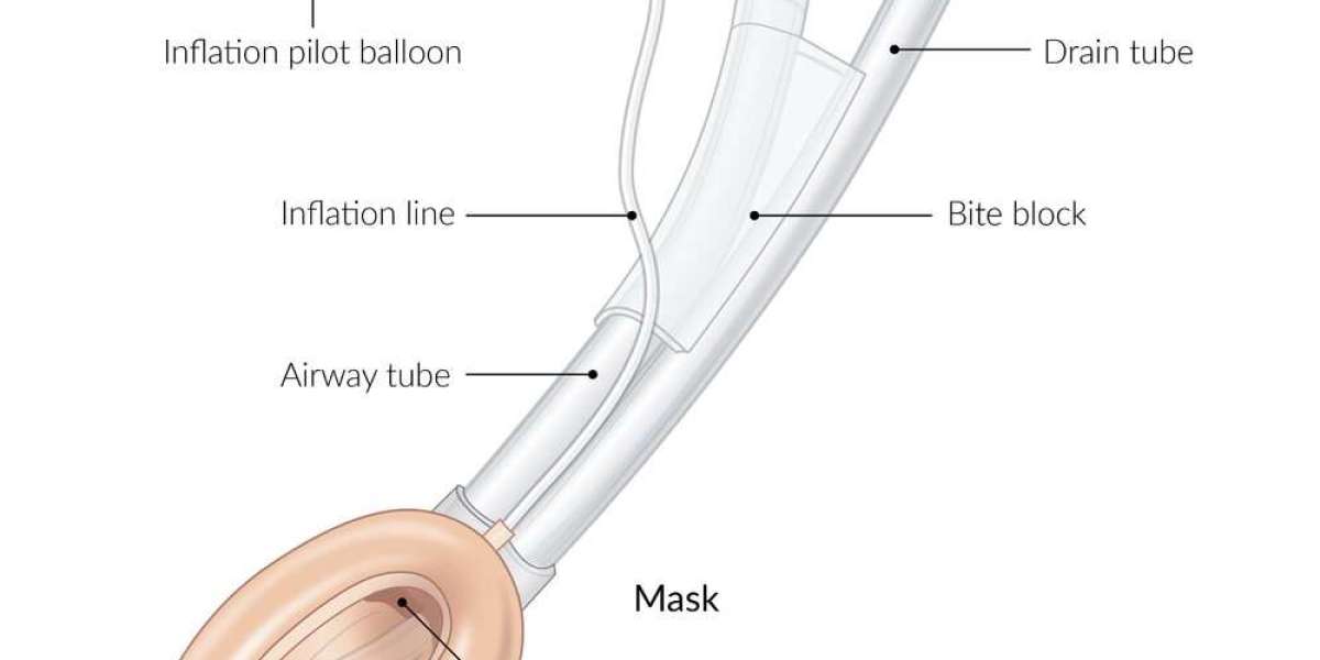 Airway Management Devices Market Projected To Grow At 5.70% CAGR To 2030