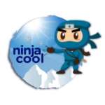Ninja Cool Profile Picture