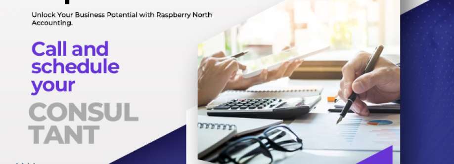 Raspberry North Accounting Cover Image