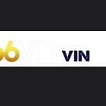 66vn Profile Picture
