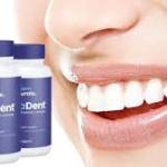 Anni Jarvis Profile Picture