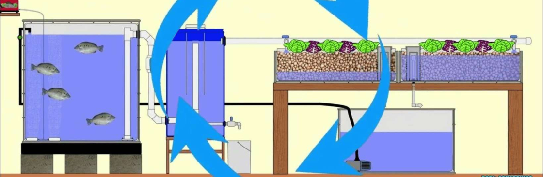 Aquaponic System Cover Image