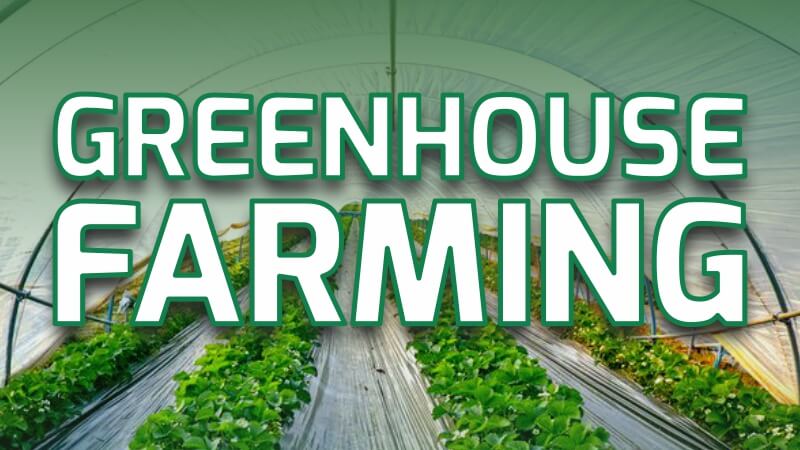 Greenhouse Farming: Different Types in India- KhetiGaadi Blog