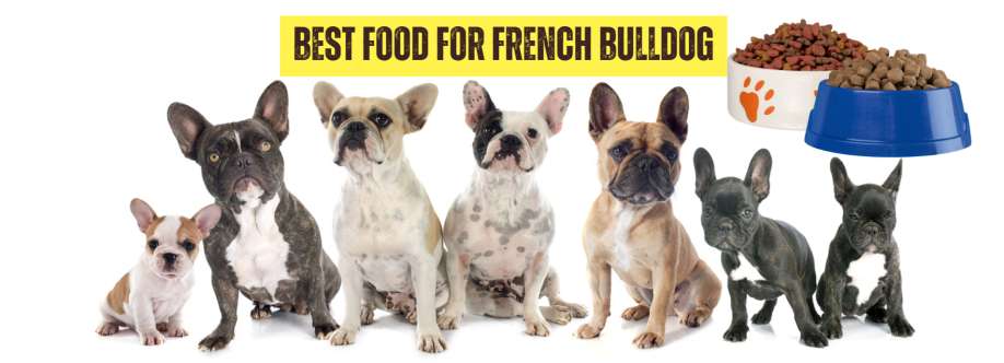 Bulldog Food Cover Image