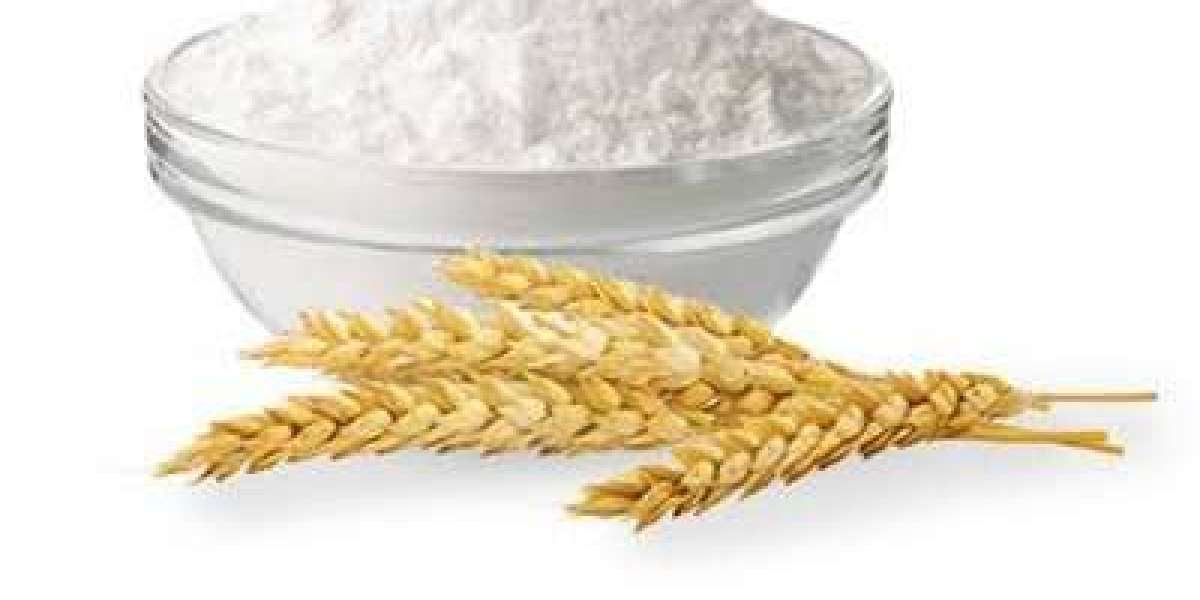 Wheat Starch Prices Trend | Pricing | Database | Index | News| Chart