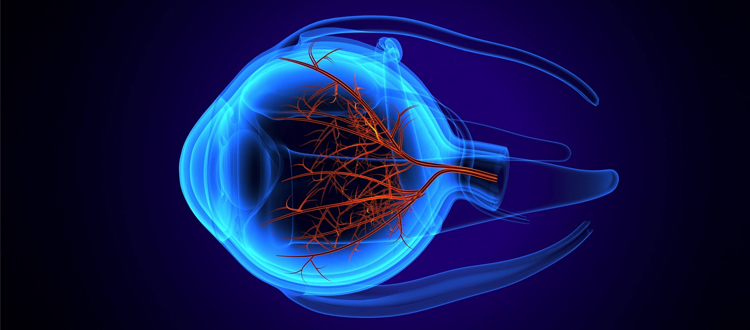 Stem cell therapy for Retinitis pigmentosa with Eye Stem Cell Center - Eye Stem Cell Center