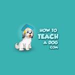 How To Teach A Dog Profile Picture