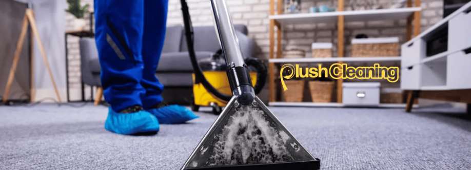 Plush Cleaning Cover Image