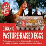 Pasture Raised Eggs Profile Picture