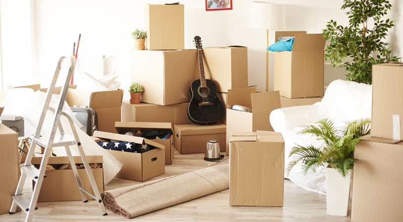 Professional Removalists Company in Melbourne