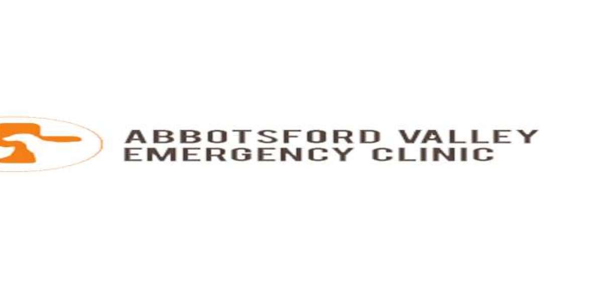 Urgent Care for Pets: Exploring 24/7 Emergency Vet Service Abbotsford and More