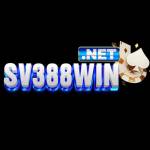 SV388 Win Profile Picture