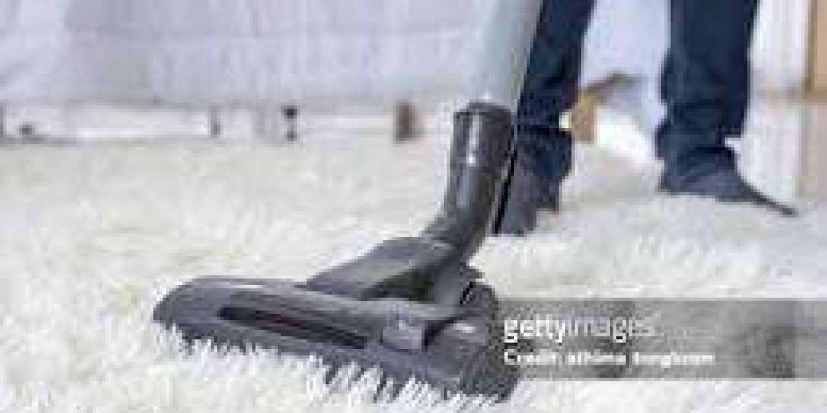 Professional Carpet Cleaning: Vital for Home Beauty and Wellness