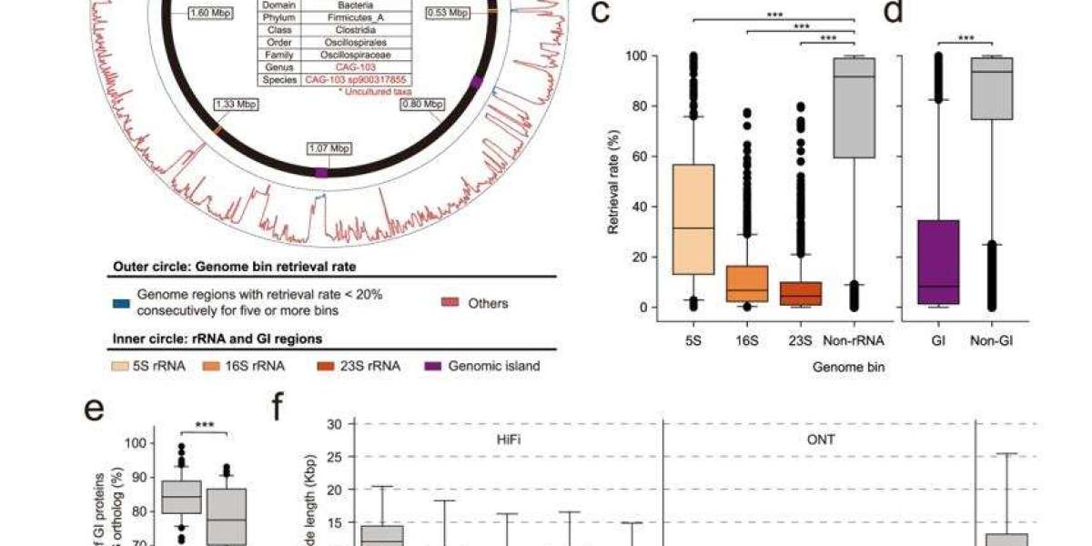 PacBio HiFi Metagenomics