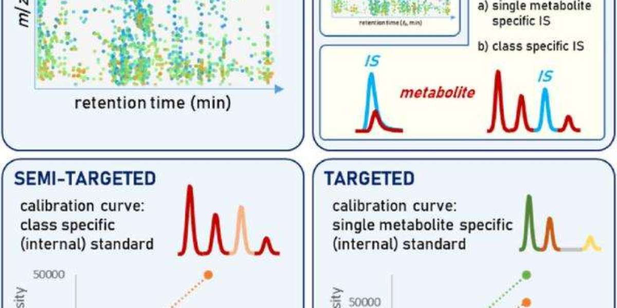 What is Untargeted Lipidomics?