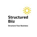 Structured Biiz 12 Profile Picture