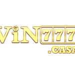 Vin777 Casa Profile Picture