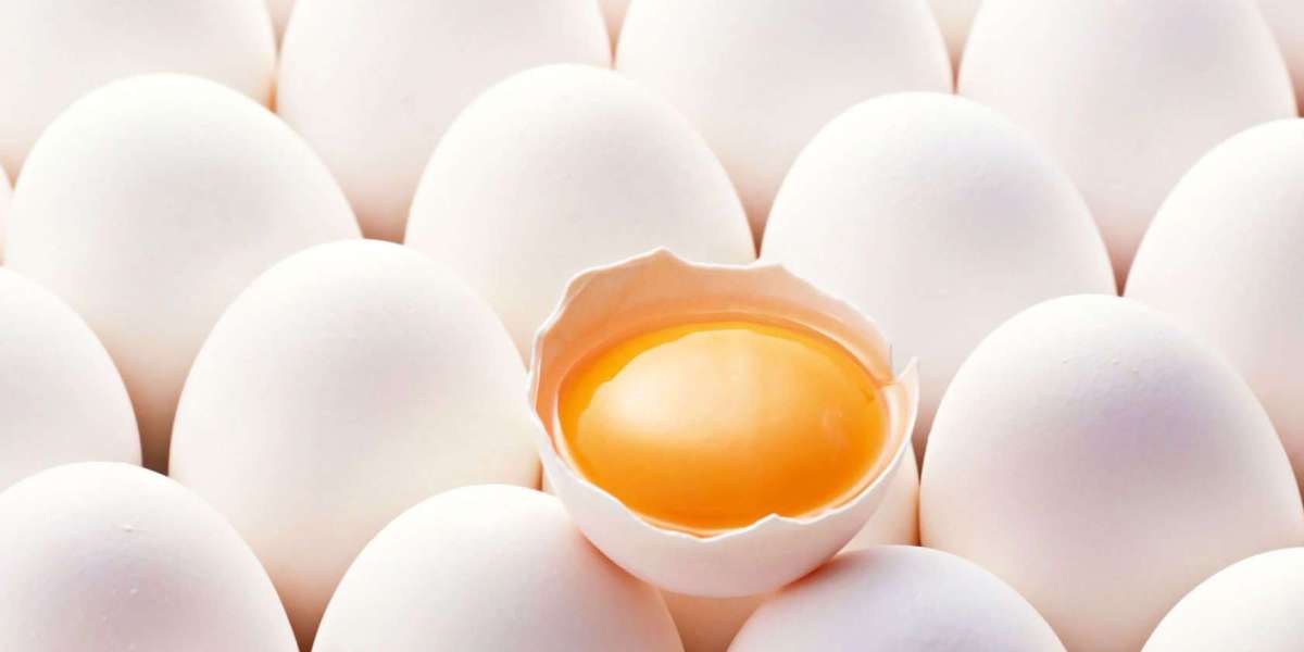 Egg Wholesale Price in Namakkal | Sri Selvalakshmi