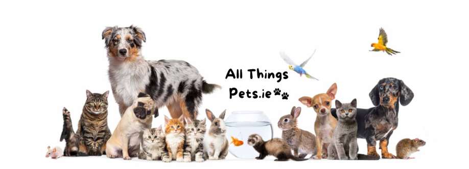 All things pets Cover Image