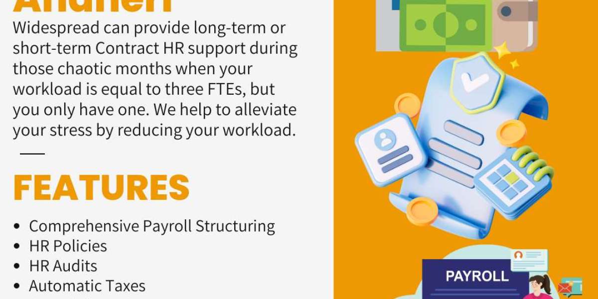 Streamline Your Payroll with Expert Payroll Outsourcing Services in Mumbai ​