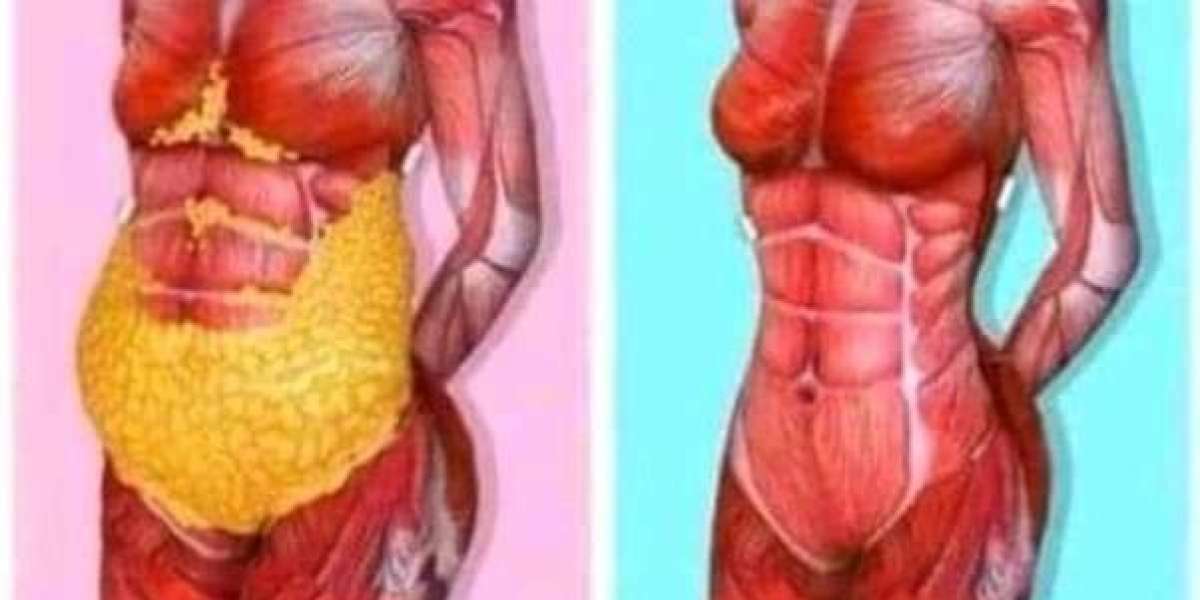 Understanding Body Fat: Types, Functions, and Health Impacts