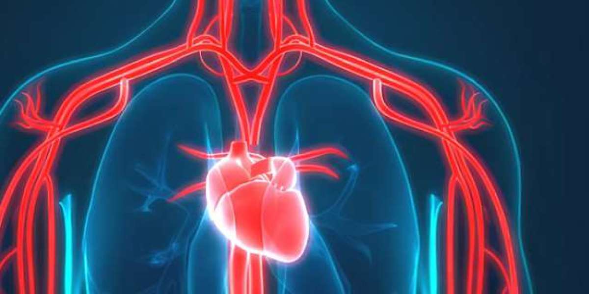 Comprehensive Circulatory System Tissue Microarrays