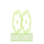 living flowers profile picture