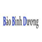 Bảo Bình Dương Profile Picture