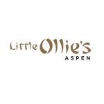 littleollies Profile Picture